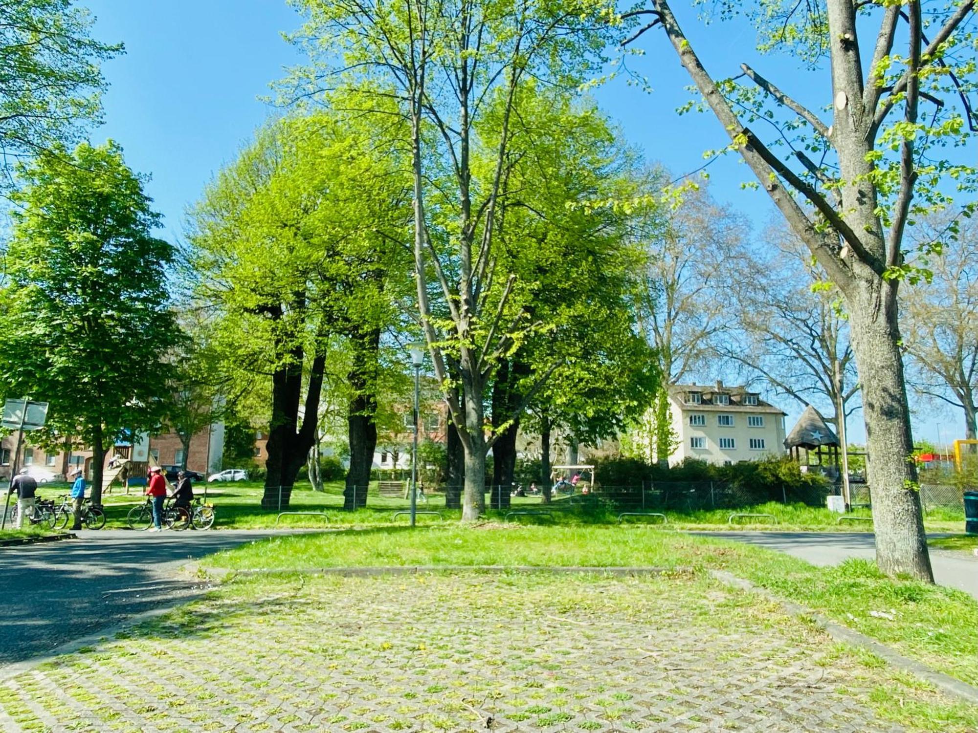 Kassel: Alles, Was Du Brauchst! Exteriér fotografie
