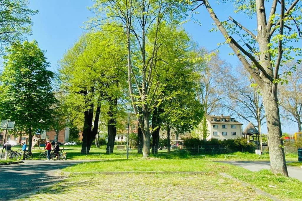 Kassel: Alles, Was Du Brauchst! Exteriér fotografie